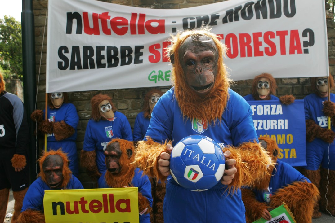 Francia: “La Nutella |fa male alle foreste”