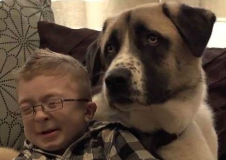 Il bambino disabile| e il cane a tre zampe