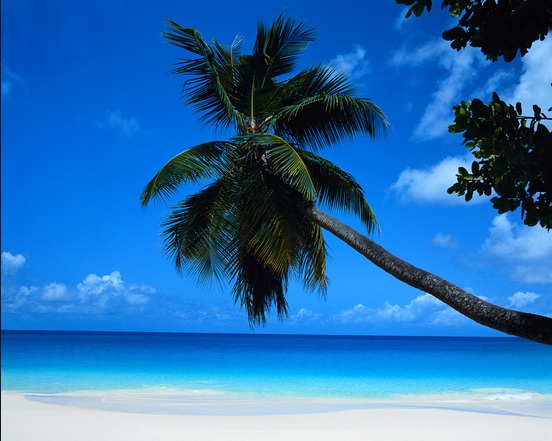 Il lavoro dei sogni: 2.600 euro al mese per bere rum in Giamaica