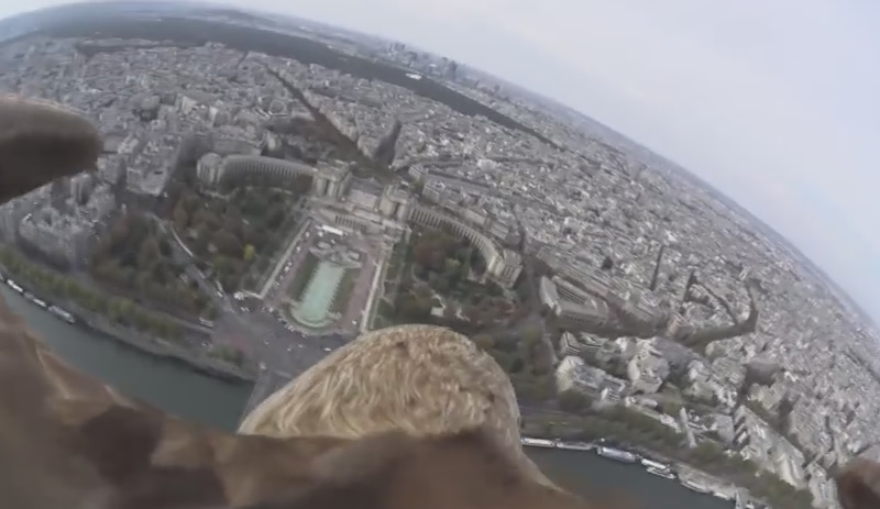 Parigi vista attraverso gli occhi di un’aquila – Video