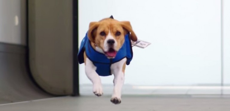 Hai perso lo smartphone in volo? Tranquillo, c’è Sherlock