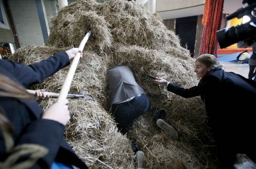 Trovare un ago in un pagliaio si può (in 48 ore) – Video