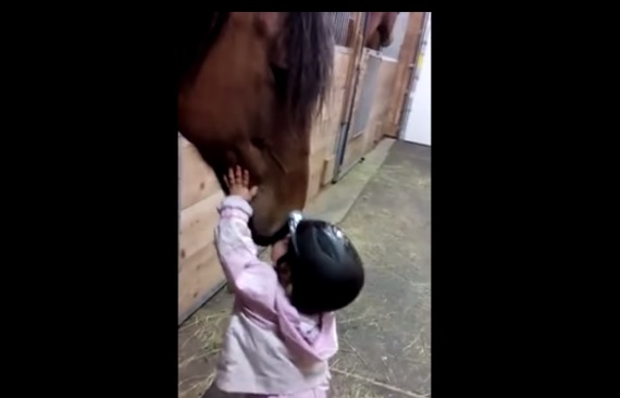 “Saluta il cavallo”, il bacio più tenero di sempre – Video
