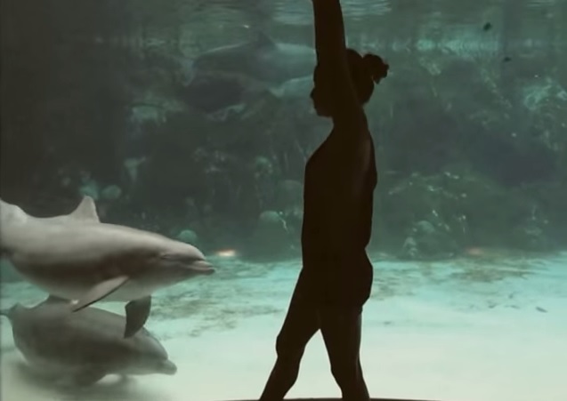 La ginnasta che fa ridere i delfini – Video