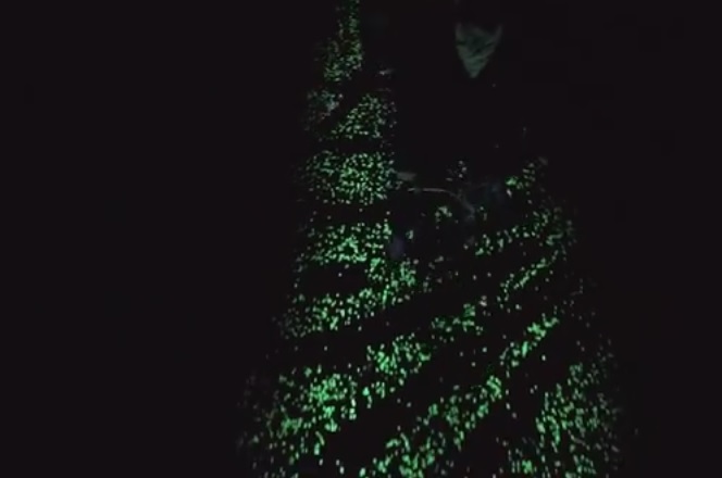 Olanda, la pista ciclabile che di notte diventa un quadro di Van Gogh