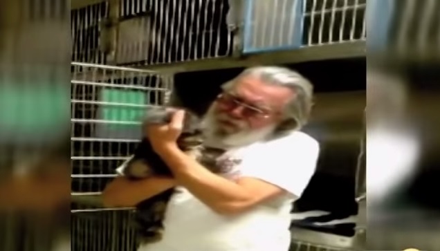 Gli rubano il cane, lo ritrova otto anni dopo – Video