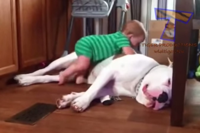 Bambini che mettono a dura prova la pazienza dei loro cani