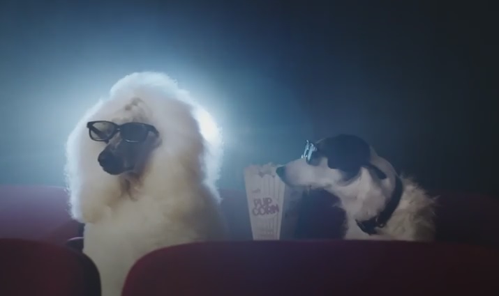 Anche i cani si innamorano e… si comportano da umani – Video