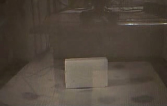 Ecco cosa succede se metti una saponetta nel microonde – Video