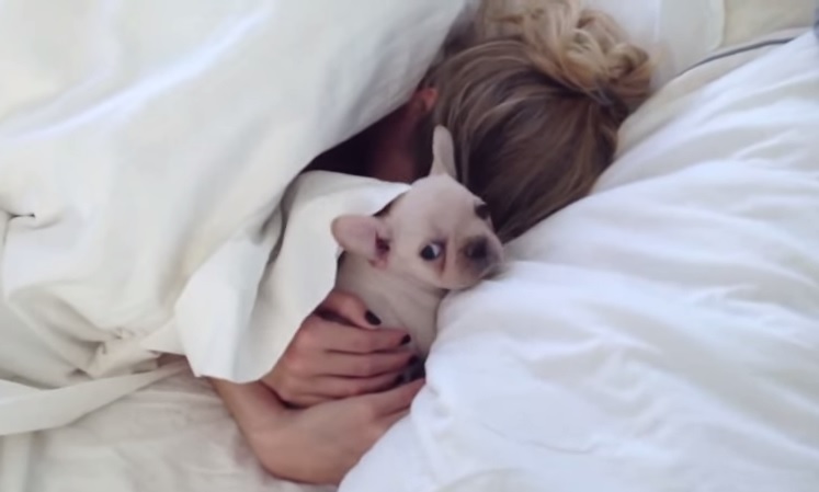 Il dolce risveglio di Sara, la sorpresa recapitata a letto