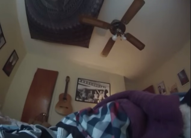 Cosa fa il tuo cane quando rimane a casa da solo? – Video