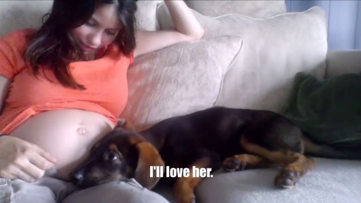 “Sta per arrivare una sorellina”…e il cucciolo approva – Video