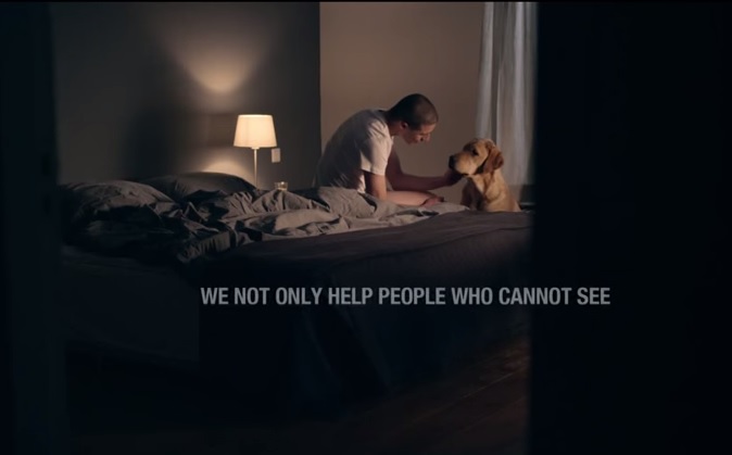 “I cani guida aiutano i non vedenti, ma anche quelli che hanno visto troppo”