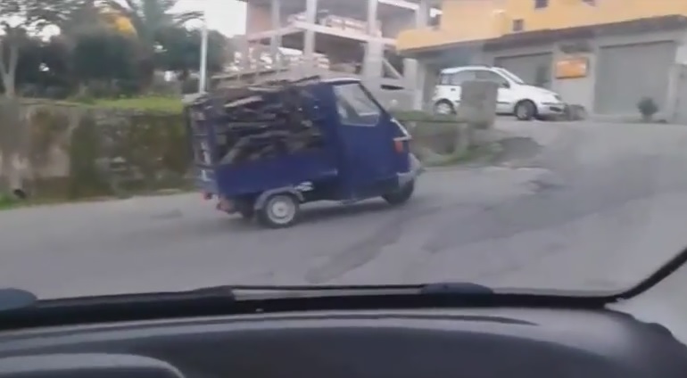 La consegna della legna va a finire male, scopri perchè – Video