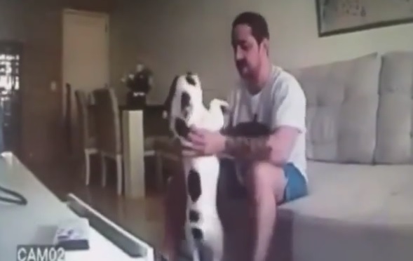 Piazza una telecamera in casa e scopre che il fidanzato maltratta i cani
