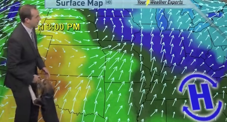 Previsioni meteo, cane irrompe in studio in diretta tv – Video