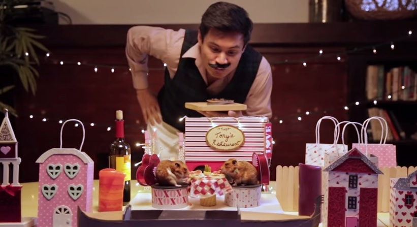 “Buon San Valentino”, il romantico tête-à-tête di due criceti – Video