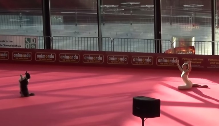 Questione di feeling! Sandra danza con il suo cane – Video