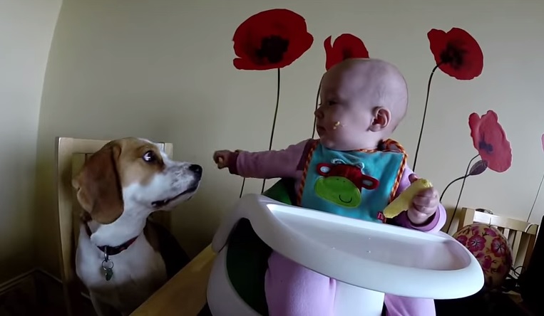 Charlie e Laura, la loro amicizia ha qualcosa di straordinario – Video