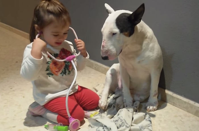 La piccola veterinaria e un paziente molto “paziente” – Video