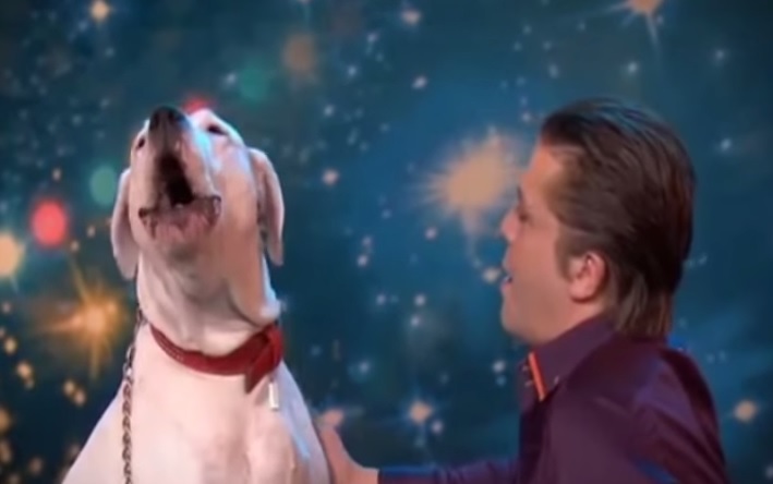 “Belgium’s Got Talent”, cane canta come Whitney Houston – Video