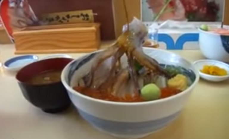 Il polpo “torna in vita” con la salsa di soia – Video