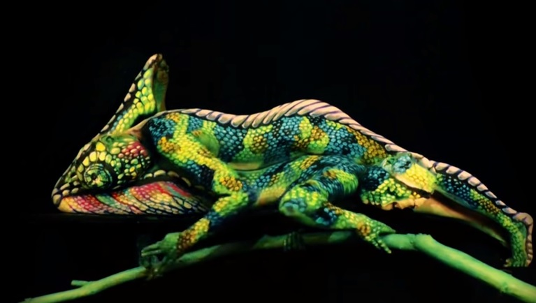 Quello che state per vedere non è un camaleonte – Video