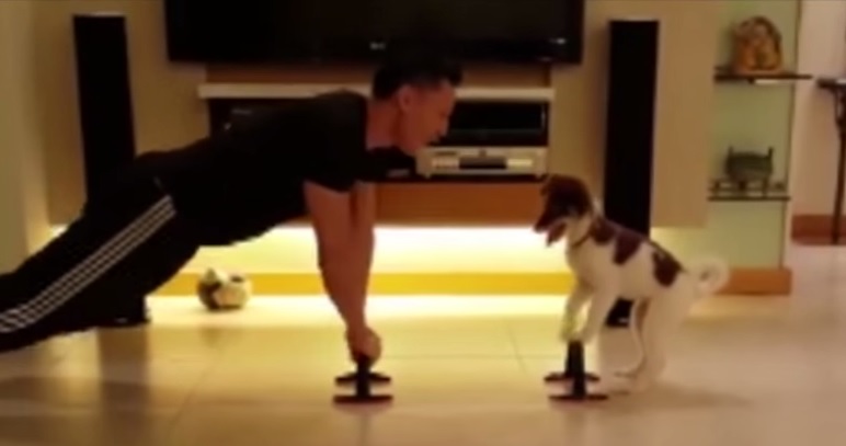 Fa ginnastica insieme col suo cane e il video diventa virale