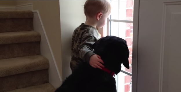 Al cane manca la sua famiglia, questo bambino lo consola così