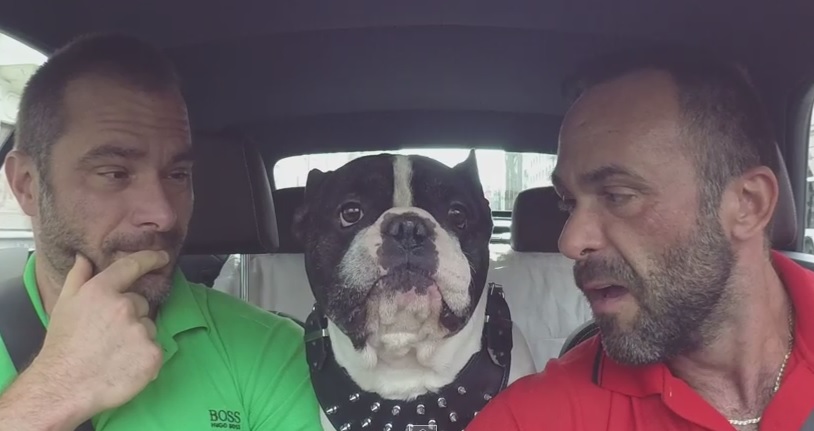 Il bulldog che parla tutte le lingue del mondo – Video