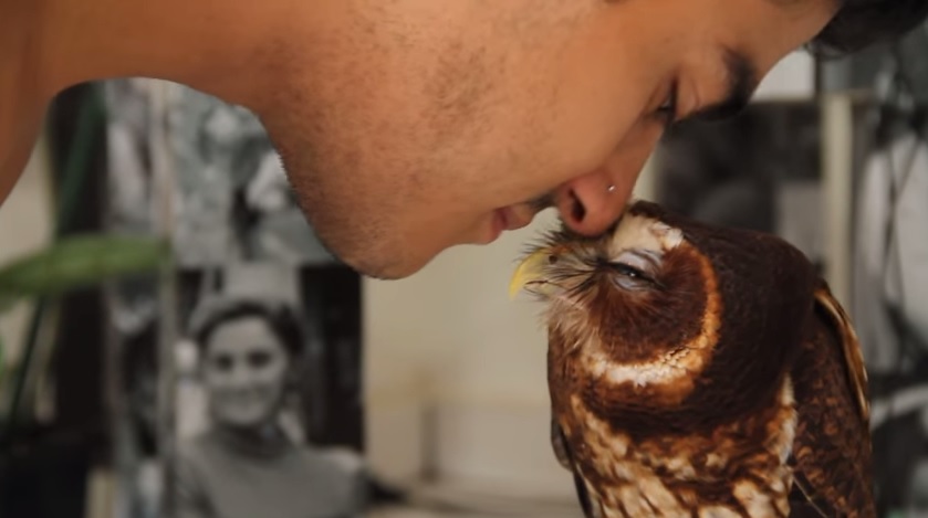 Bacio eschimese alla civetta, la sua reazione è imperdibile