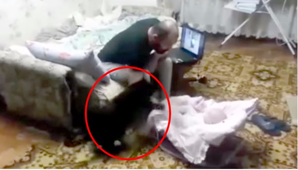 Gatto difende neonato dalle “botte” del padre – Video