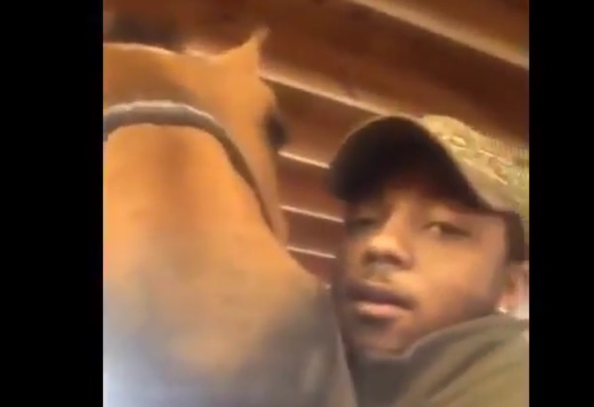 Selfie col cavallo, l’animale lo ringrazia con un bacio – Video