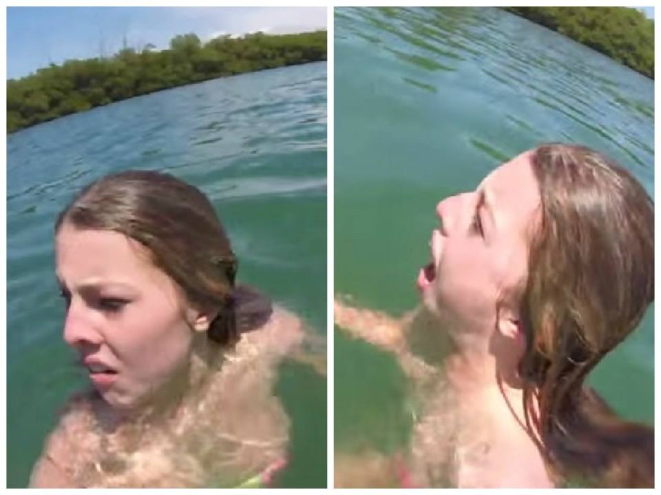 “Aiuto, c’è uno squalo in acqua”, la ragazza è terrorizzata ma…