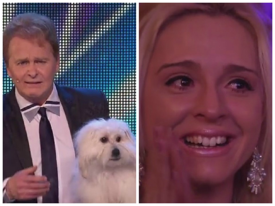 Wendy, il cane parlante lascia sbigottiti i giudici di “Britain’s Got Talent”