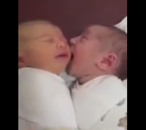 Il neonato è affamato e succhia la guancia al fratellino – Video virale