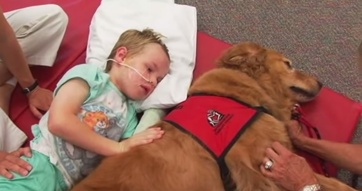 Le condizioni di questo bimbo sono disperate, ma quello che accade è straordinario