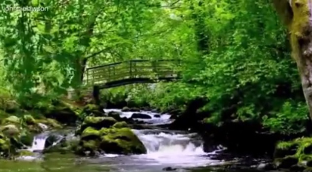 Insonnia? Si combatte con il rumore della cascata – Video