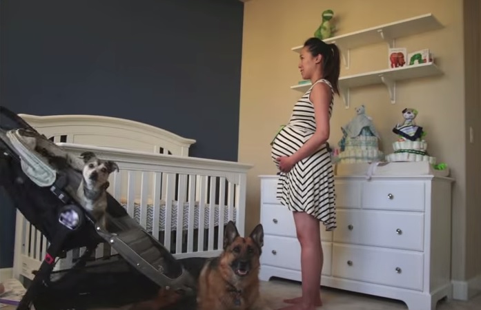 “E’ un maschio!”, nove mesi in timelapse – Video