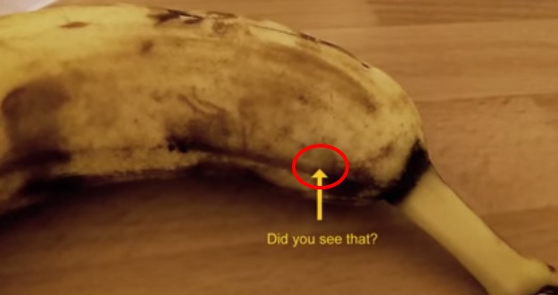 La buccia della banana comincia a muoversi,  ecco cosa c’è dentro