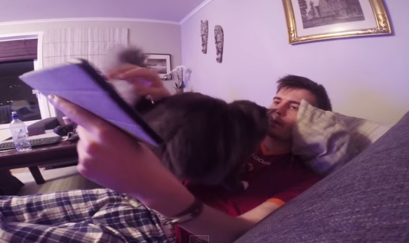 Basta Playstation! Gatto coccolone contro videogames