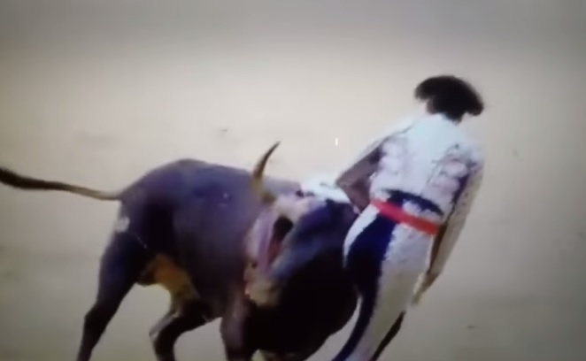 Madrid, torero incornato ai testicoli – Il video choc