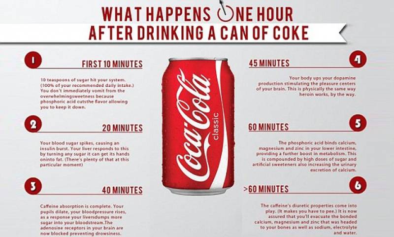 Ecco cosa accade all’organismo dopo aver bevuto una lattina di Coca Cola