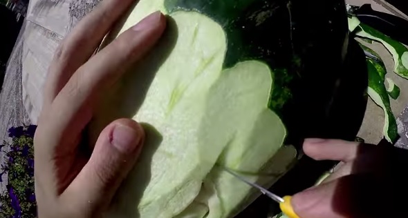 Come trasformare un cocomero in un’opera d’arte – Video
