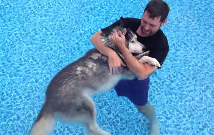 Immerge il cane anziano in acqua, ciò che accade è sorprendente