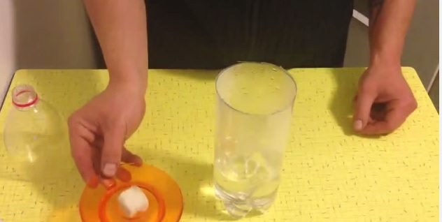 Trappola per zanzare fai da te, come sterminarle in 5 minuti