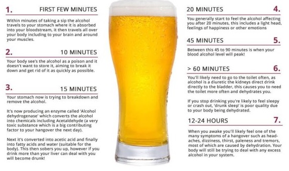 Birra, gli effetti sul nostro organismo spiegati in un’infografica