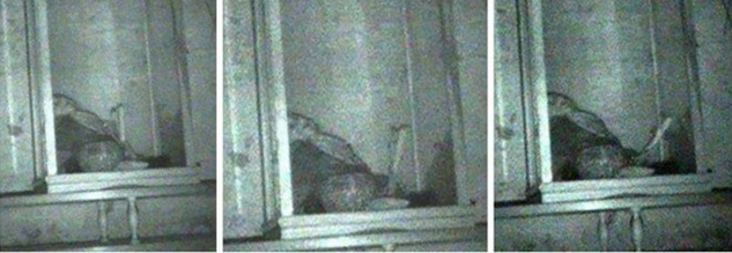 La marionetta si muove da sola, ecco il video che terrorizza il web