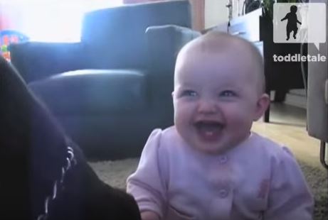 Il cane mangia i popcorn, la reazione della bimba è travolgente