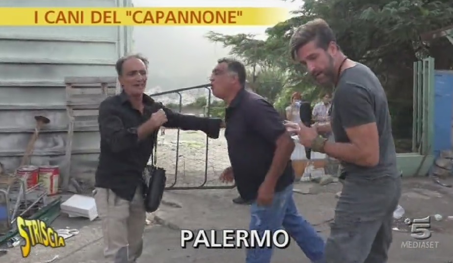 Palermo, “Striscia” irrompe nel capannone dei cani: morsi, sputi e colpi di catena